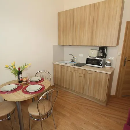 Apartmán Sobieski&soplica Krakov